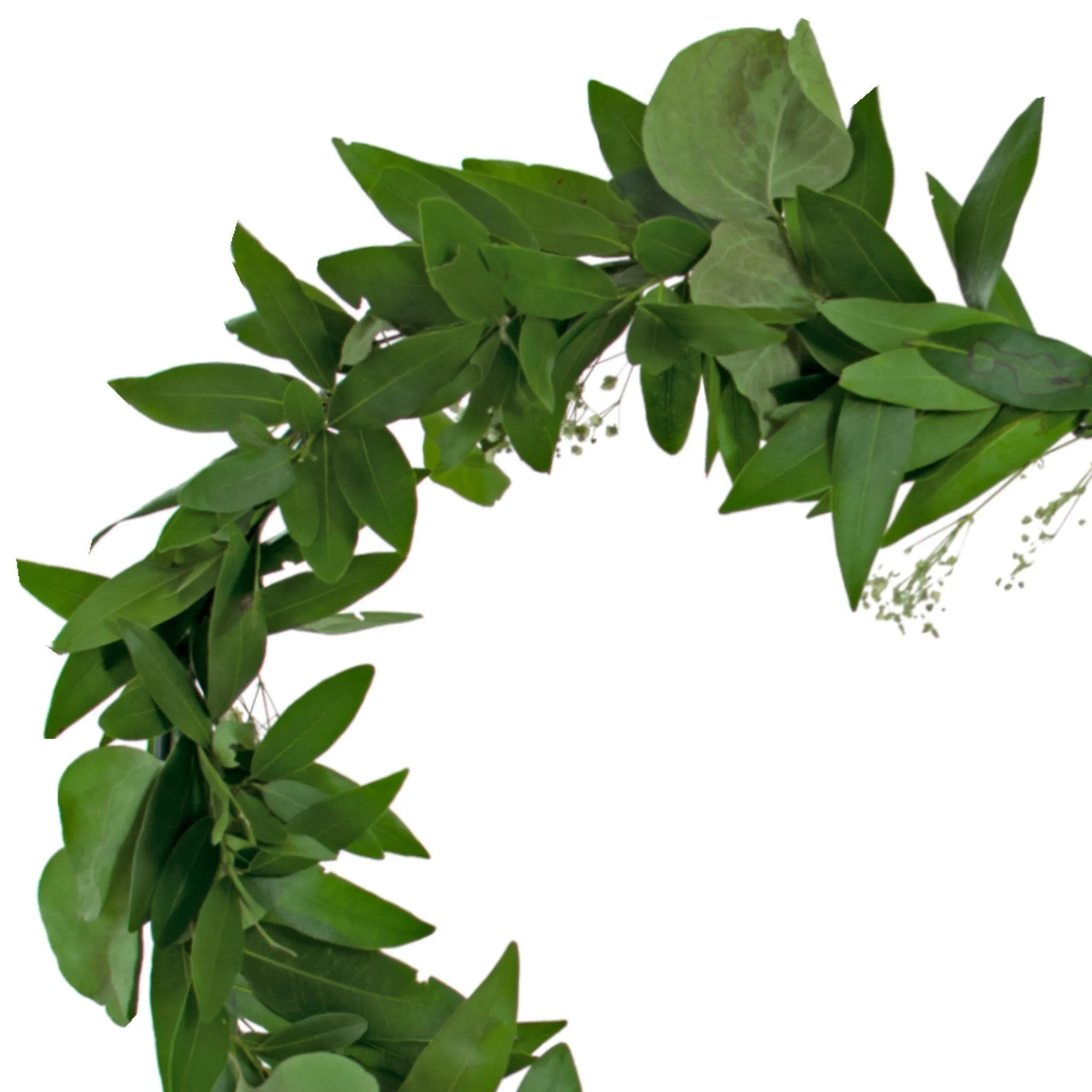 Bay Leaf Hanging Heart Wreath