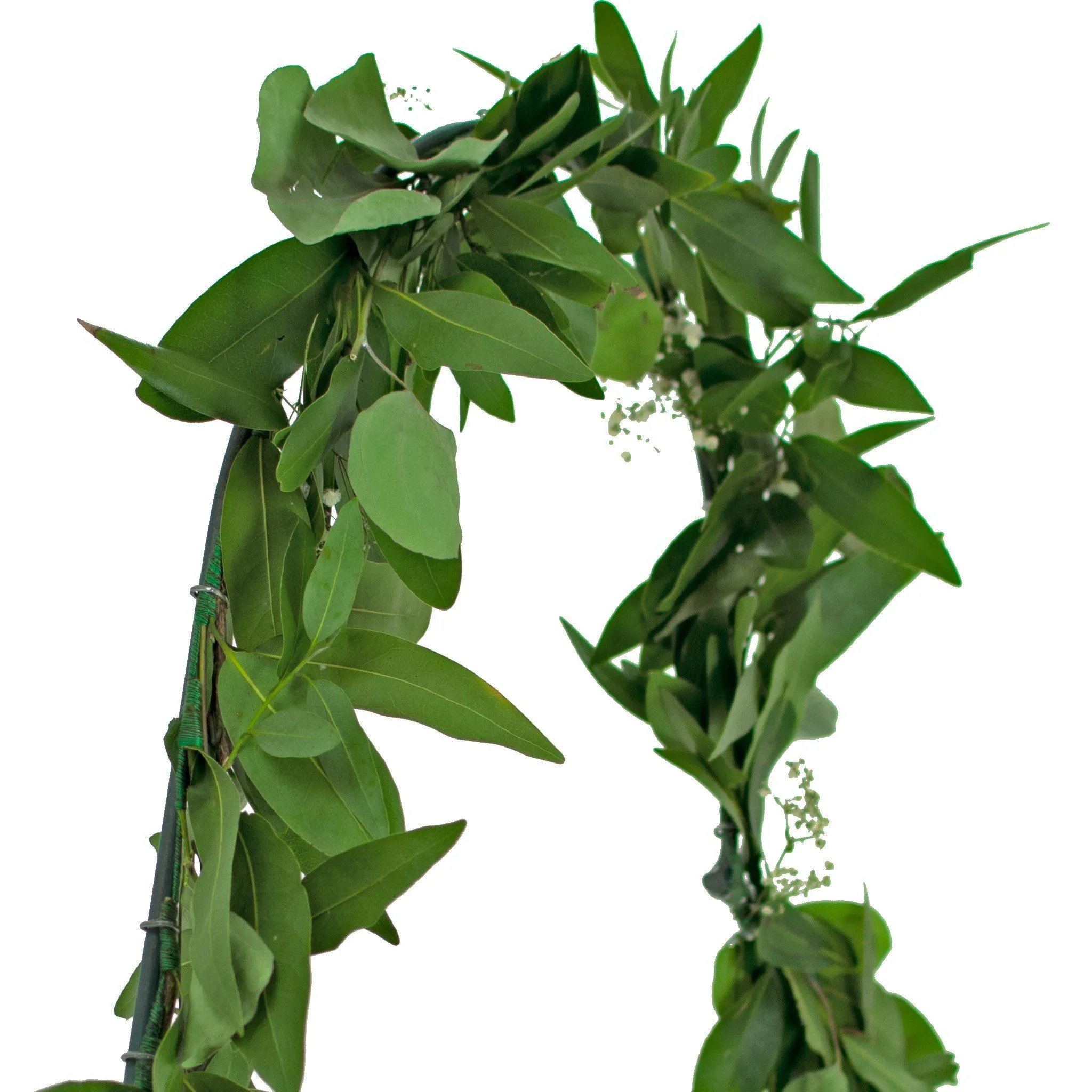 Bay Leaf Hanging Heart Wreath