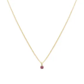 Birthstone Necklace | Gold & Ruby