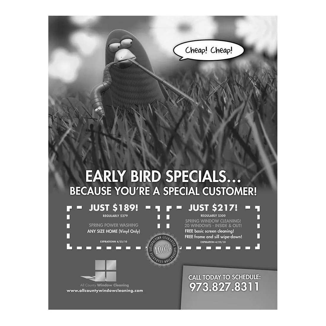 Early Bird Specials Design Suite