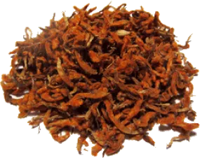 Leonotis leonurus (Wild Dagga, Lion’s Tail) Flower Petals Presidential Head Shop