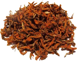 Leonotis leonurus (Wild Dagga, Lion’s Tail) Flower Petals Presidential Head Shop