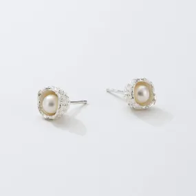 Little acorns with pearl - stud earrings - silver 925