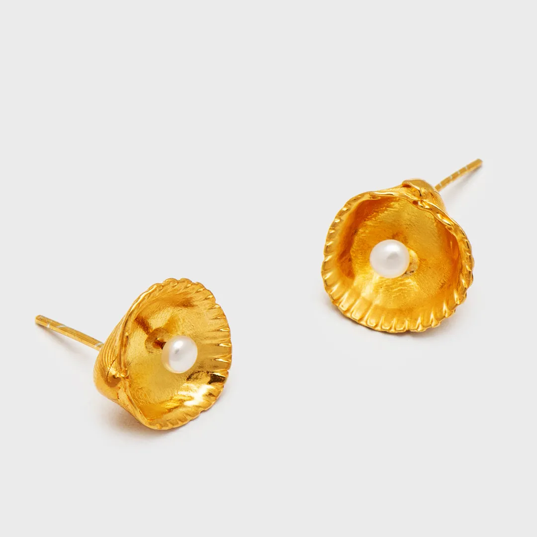 Oyster with pearl - stud earrings - silver 925 - gold plated