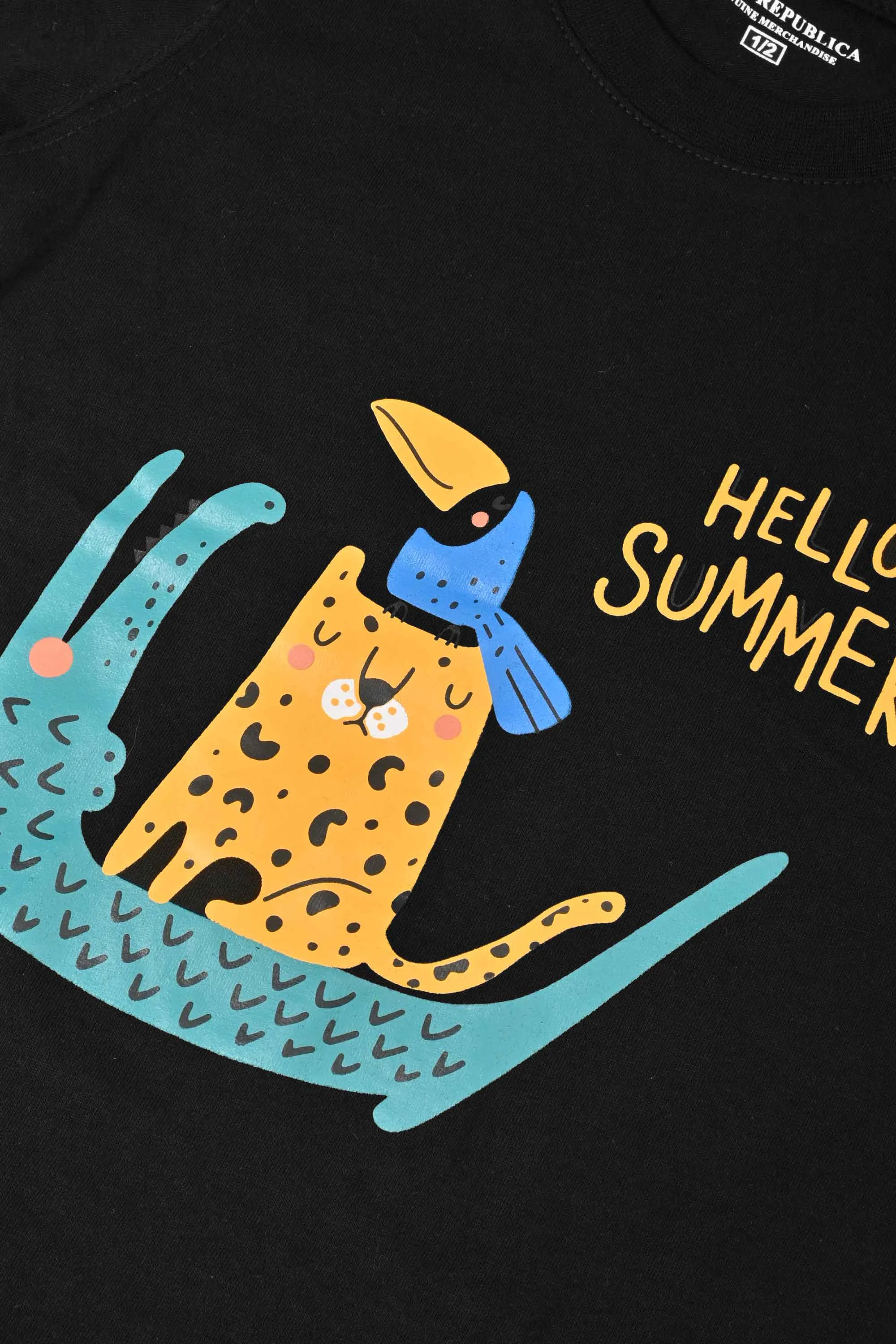 Polo Republica Boy's Hello Summer Printed Tee Shirt